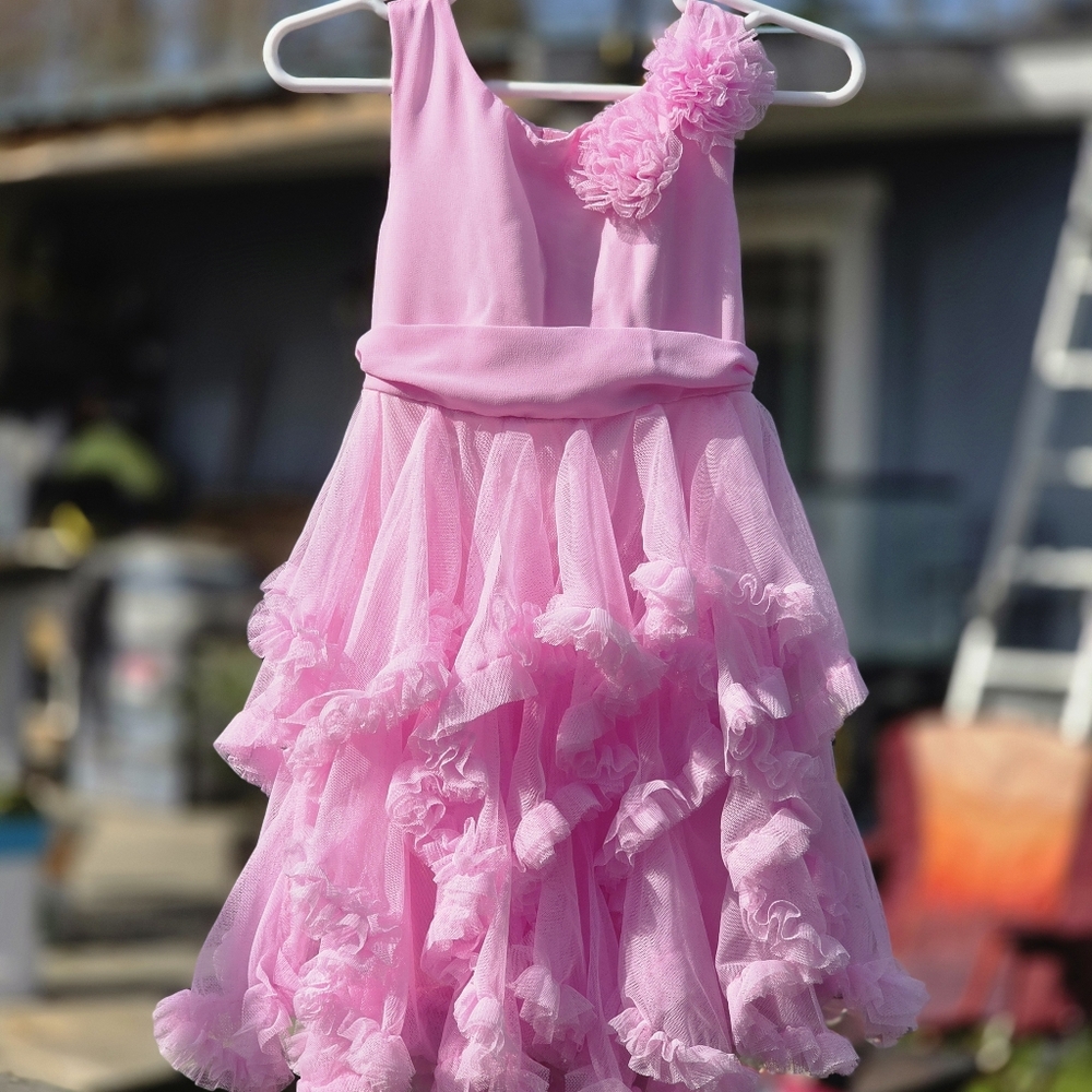Gorgeous, Brand New Never Worn, Pink Girls Dress. SO BEAUTIFUL!